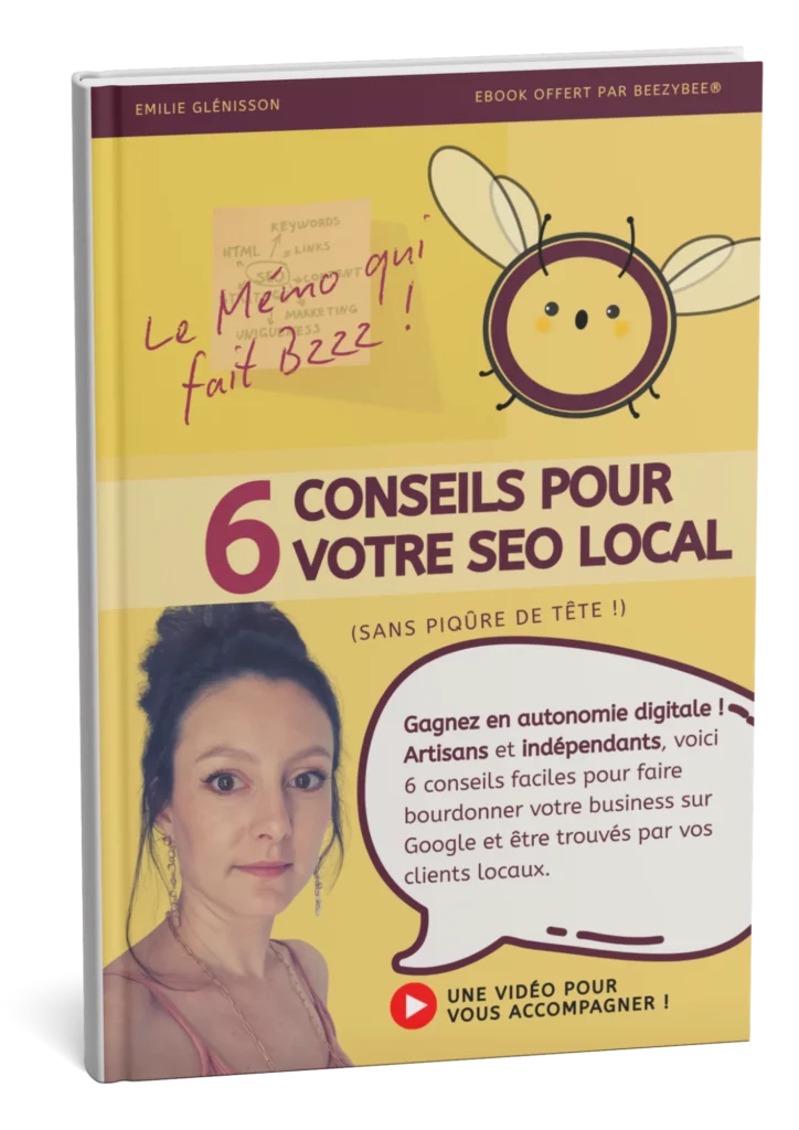 6 Conseils SEO local BEEZYBEE ebook mockup livre