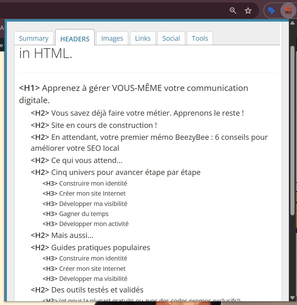 SEO Meta in 1 Click (exemple sur mon site BeezyBee)